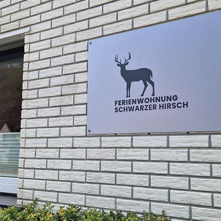 Ferienwohnung Schwarzer Hirsch Wieda Екстер'єр фото